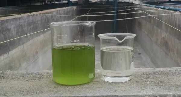 Algae-Harvesting-Centrifuge-Results