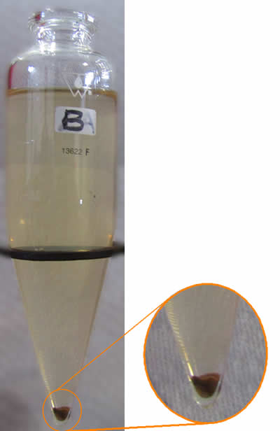 Centrifuge Graduated Tube